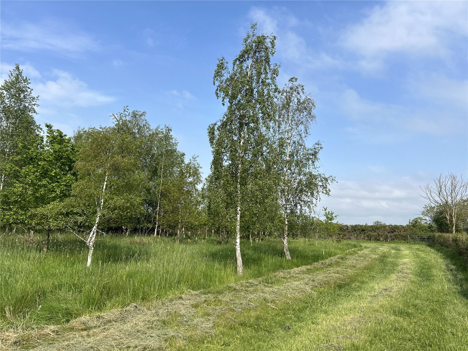 Wetmoor Lane, Langport, Somerset, TA10