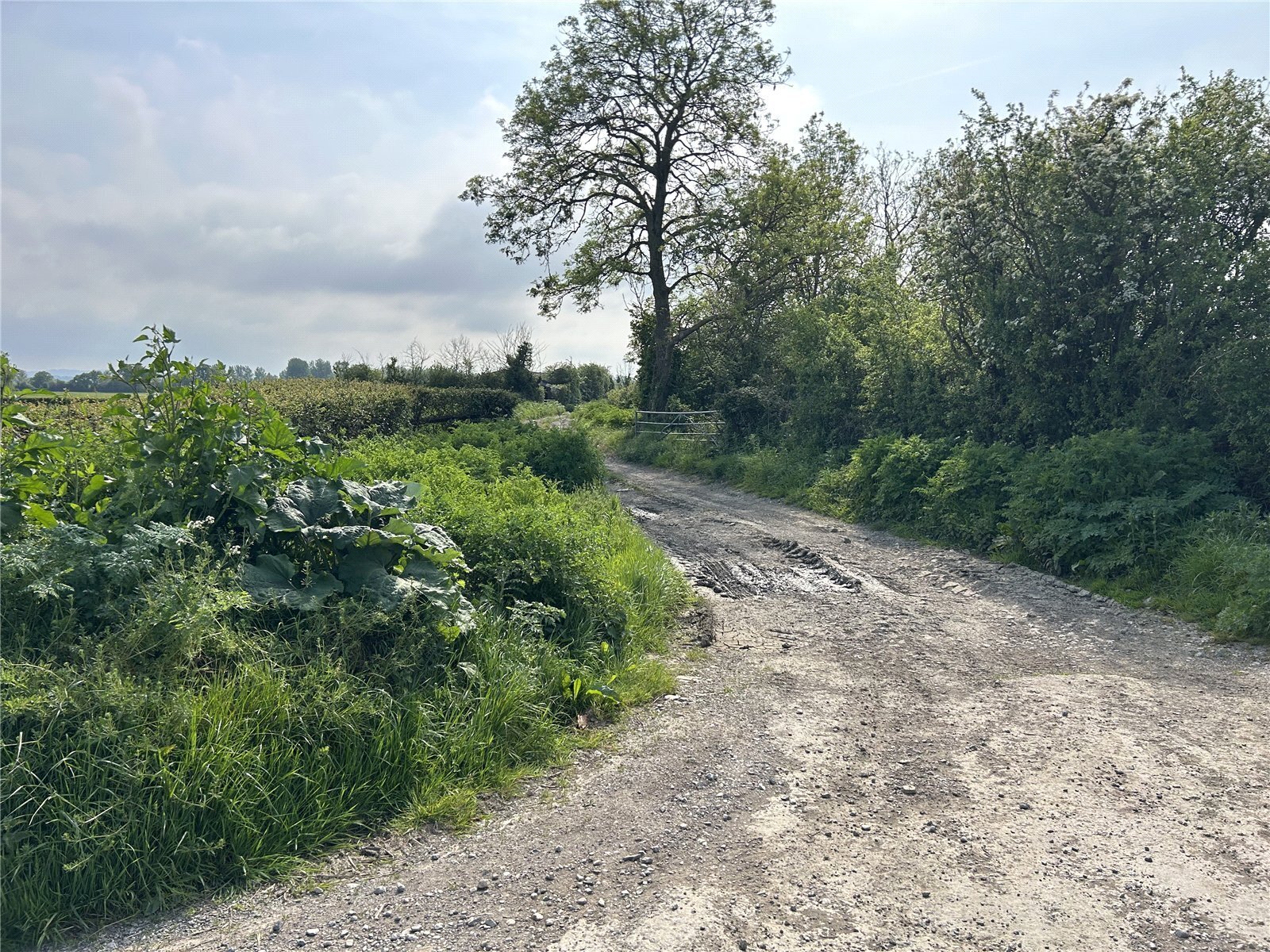 Wetmoor Lane, Langport, Somerset, TA10
