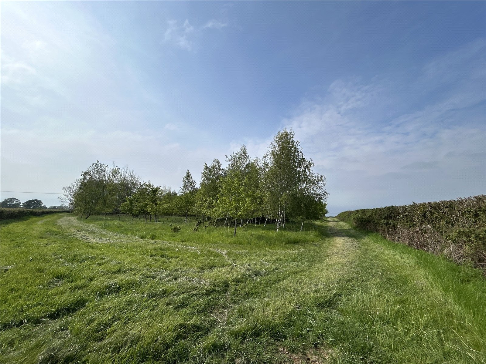 Wetmoor Lane, Langport, Somerset, TA10