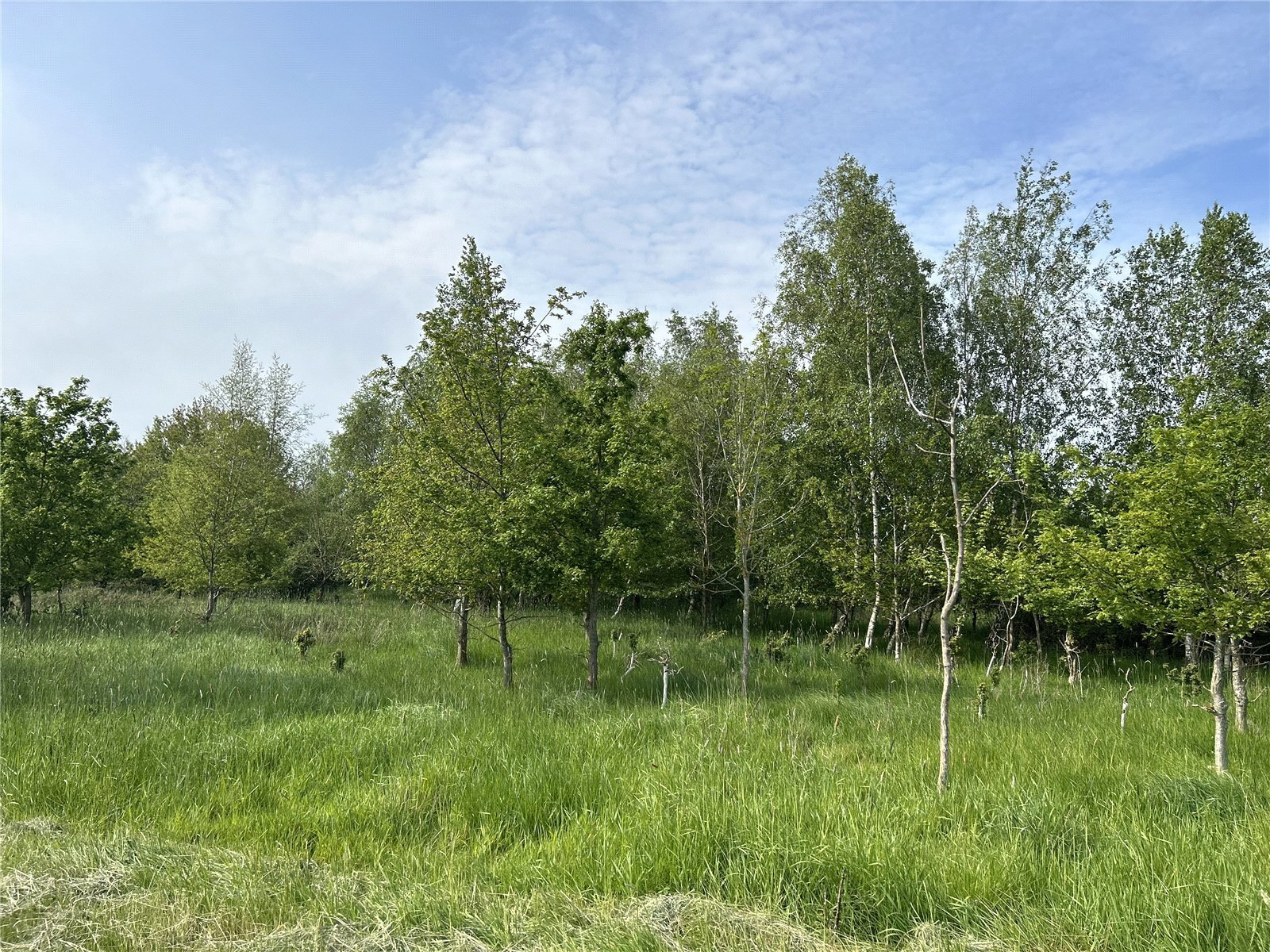 Wetmoor Lane, Langport, Somerset, TA10