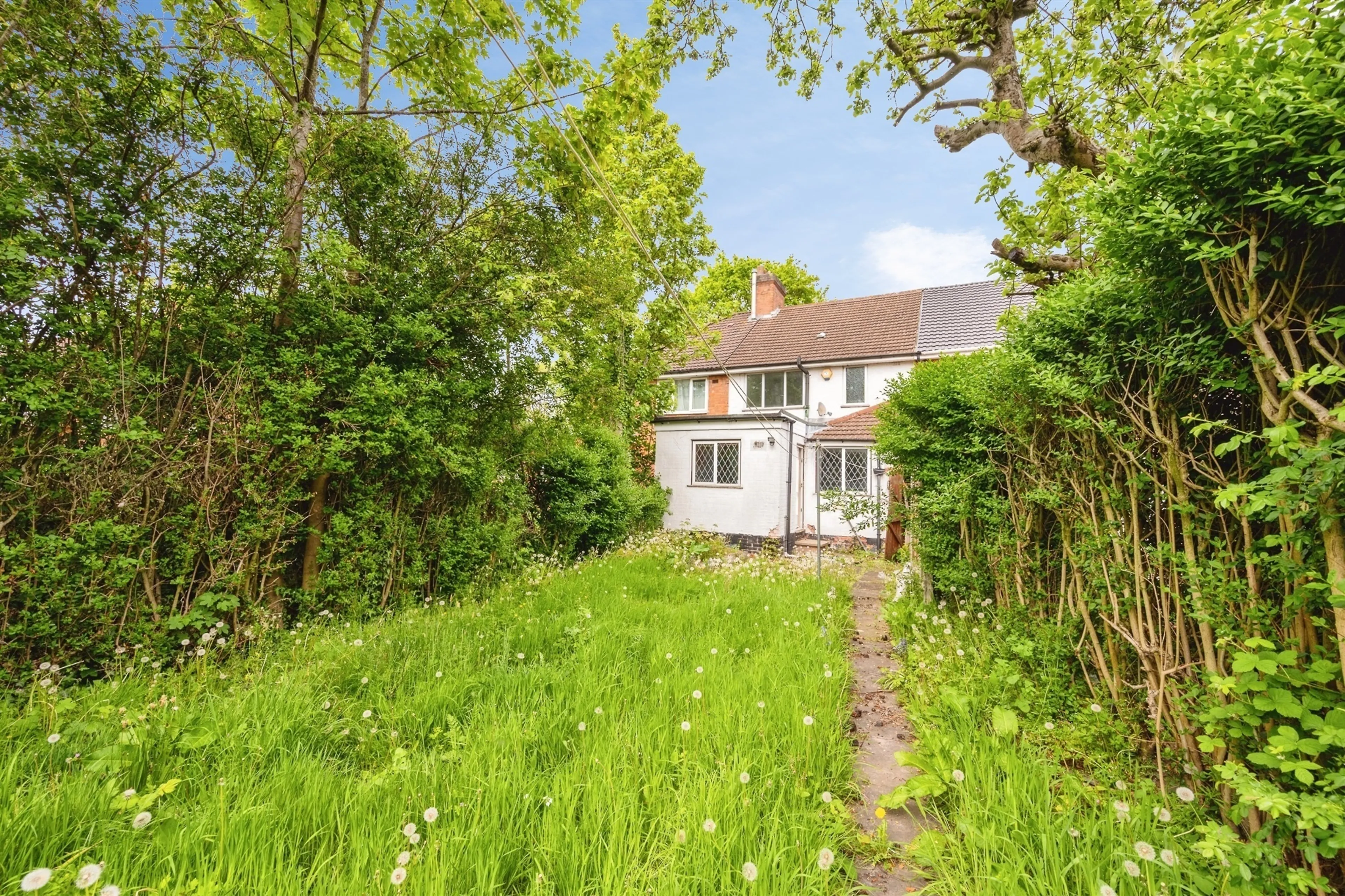Property photo 19