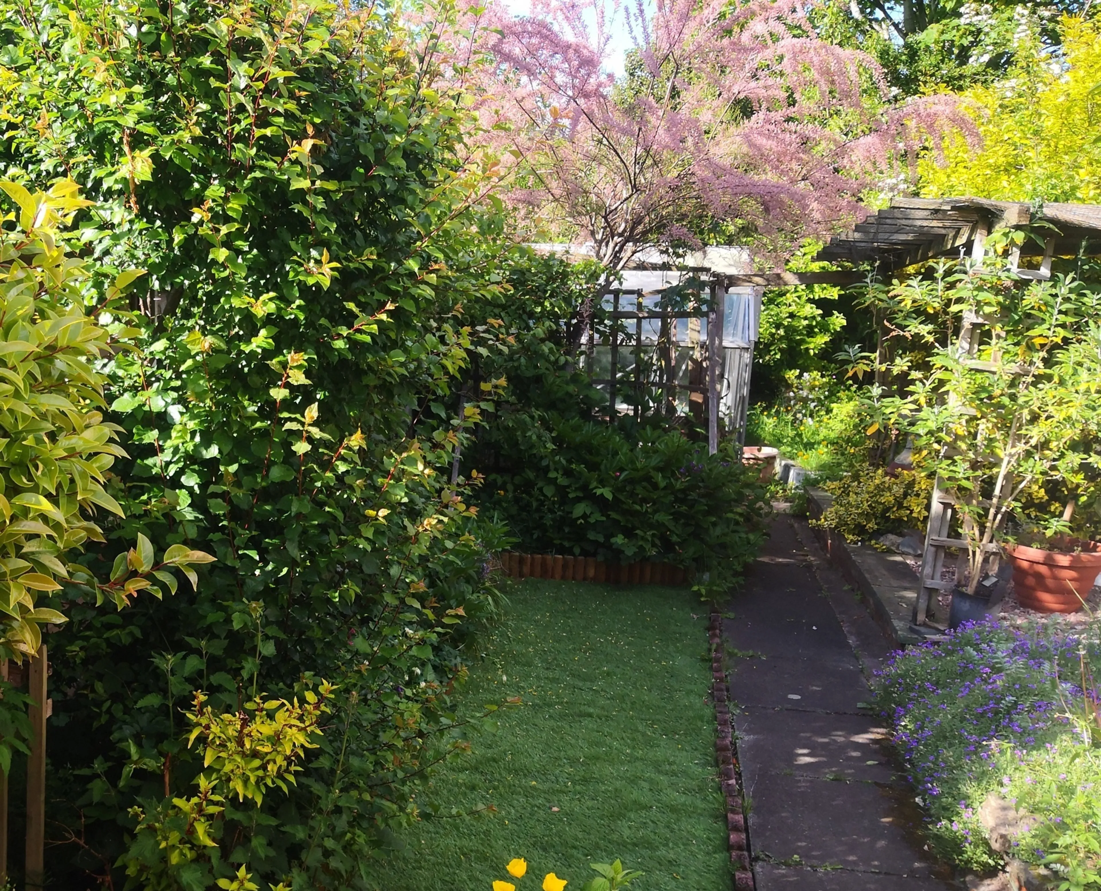 Property photo 14