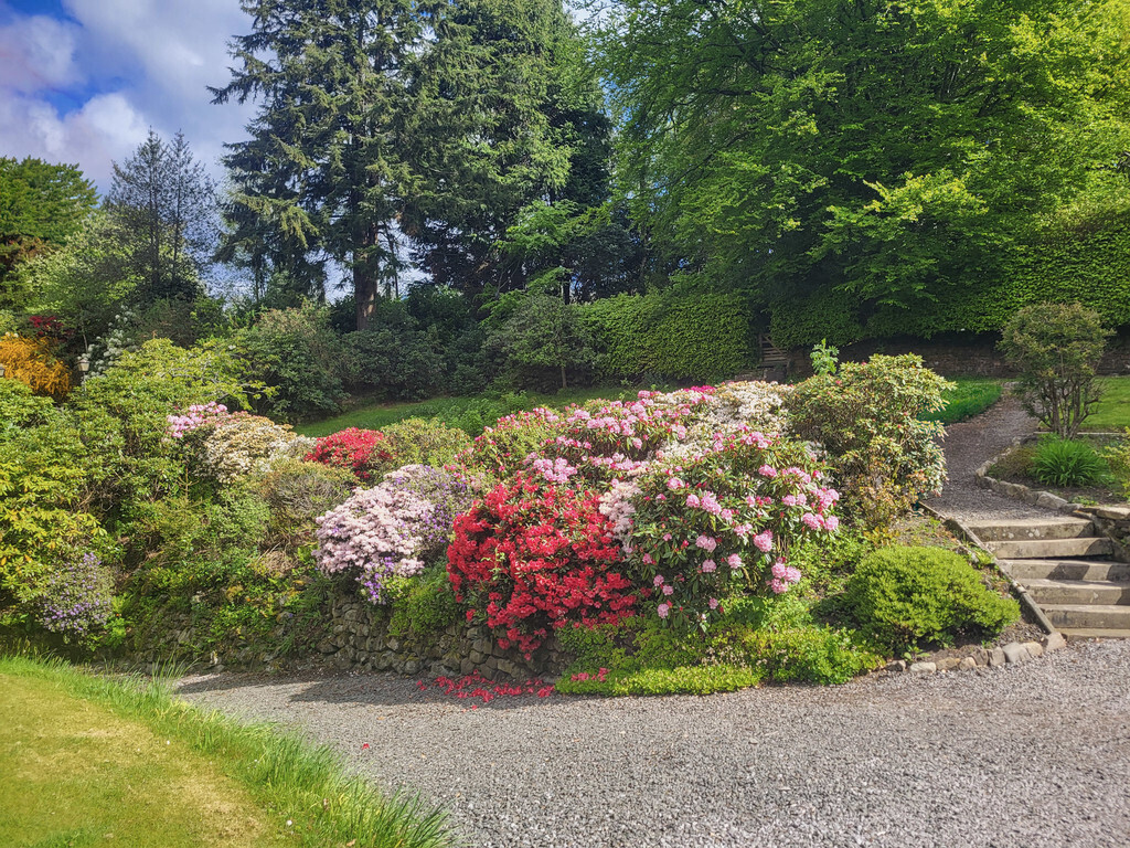 The Glen, Hallpath, Langholm Image 39
