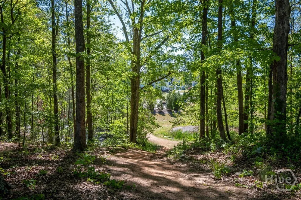 271 Canyon Ferry Way, Hoschton, GA 30548