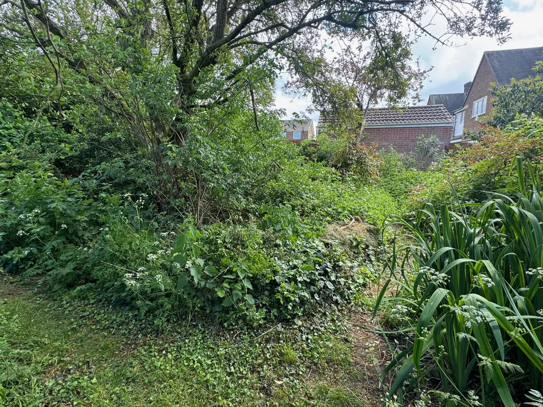Shireoaks Common, Shireoaks 