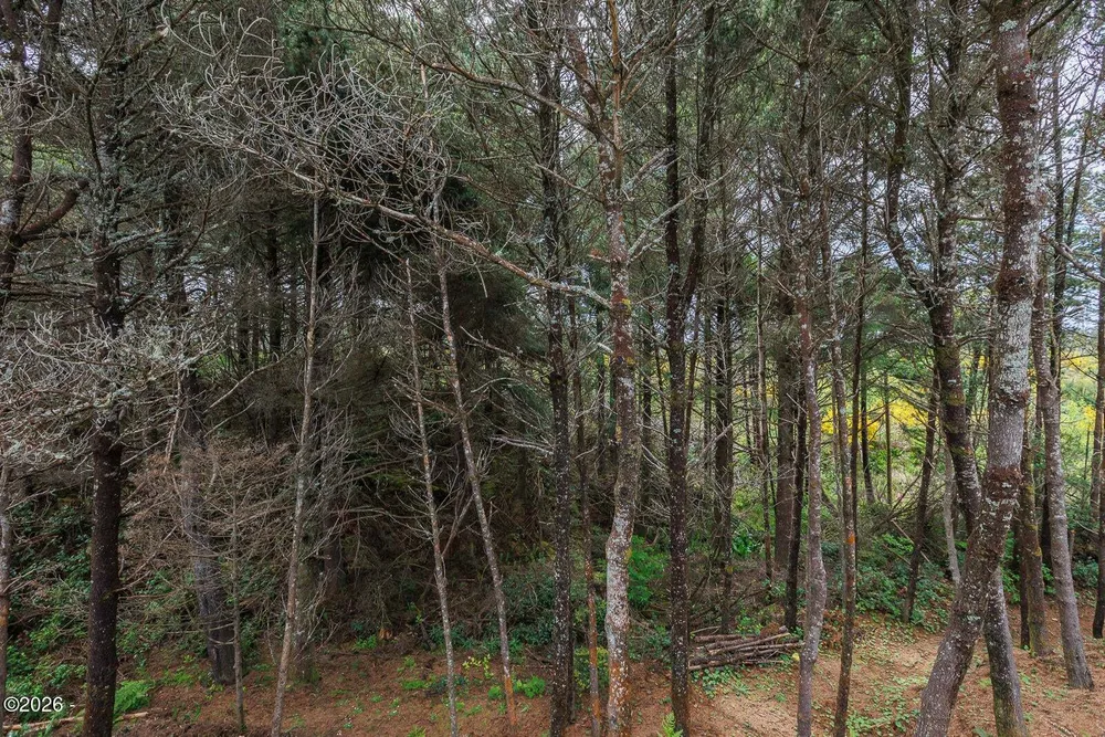 1215 SW Ocean Hills Dr, Waldport, OR 97394