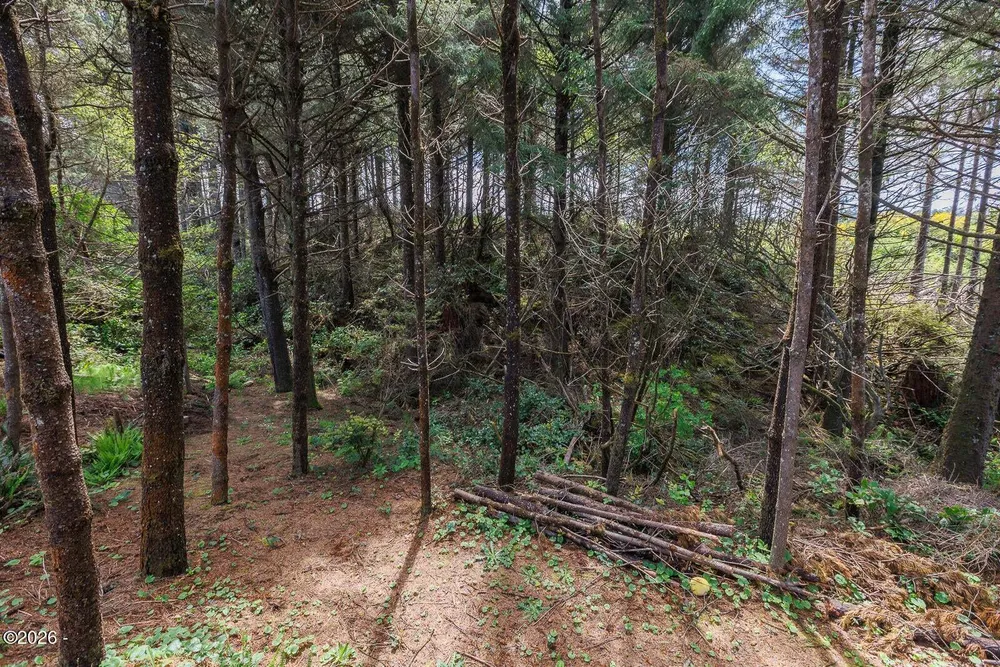 1215 SW Ocean Hills Dr, Waldport, OR 97394