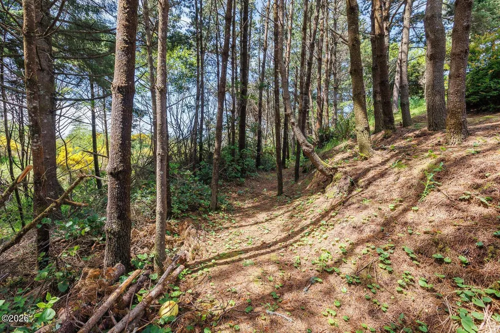 1215 SW Ocean Hills Dr, Waldport, OR 97394