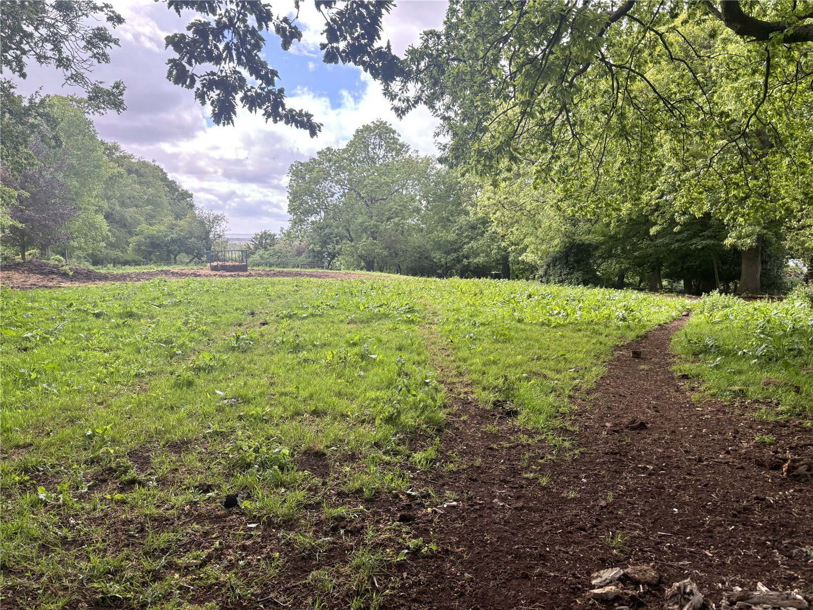 Whitley Head, Banwell, North Somerset, BS29