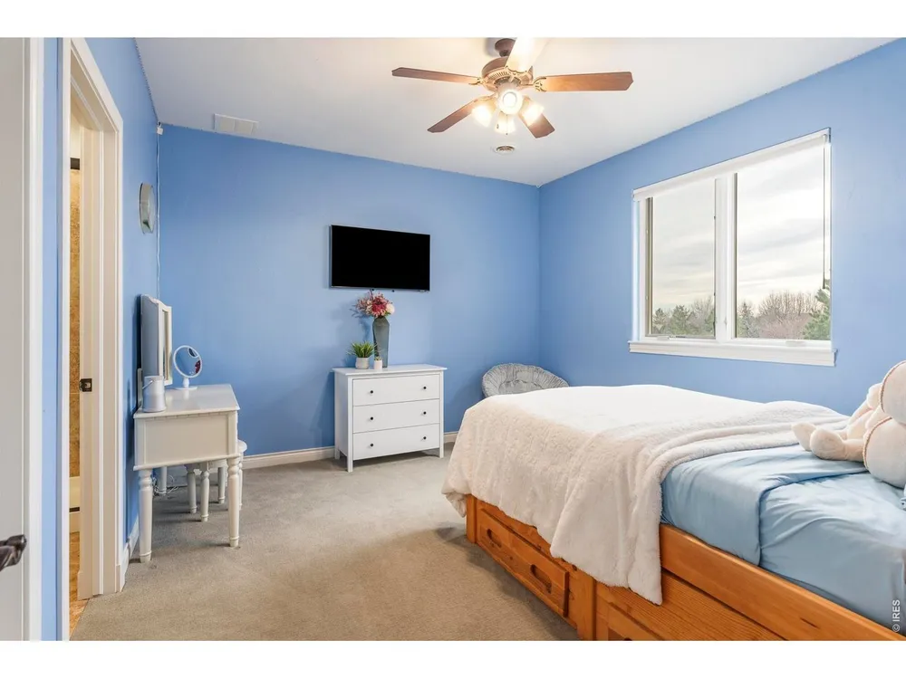 8712 Portico Ln, Longmont, CO 80503