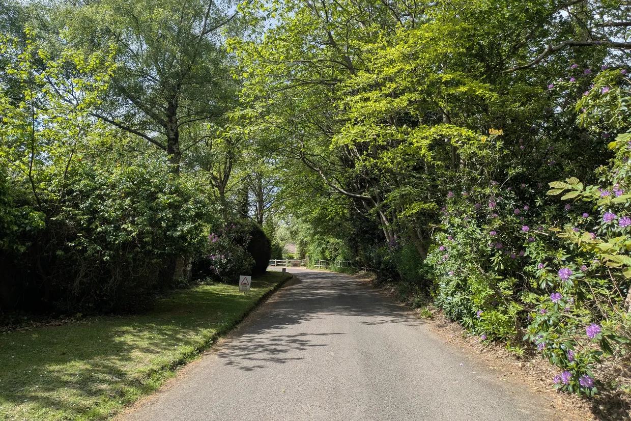Forest Road, Colgate, RH12 photo 15