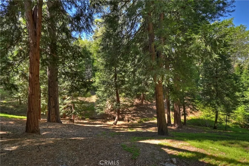355 Cedar Ridge Dr, Lake Arrowhead, CA 92352