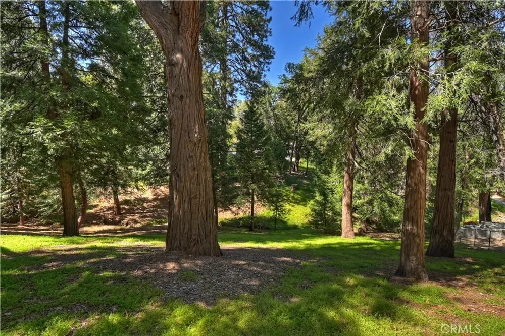 355 Cedar Ridge Dr, Lake Arrowhead, CA 92352