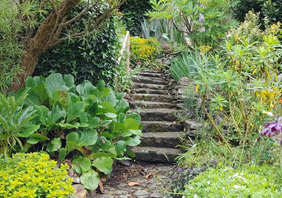 Property Image 36