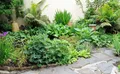 Property image gallery