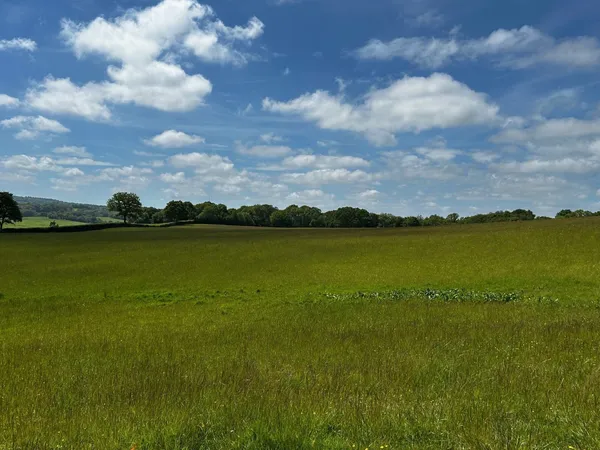 Scotsford Hill, Mayfield, TN20 photo 2
