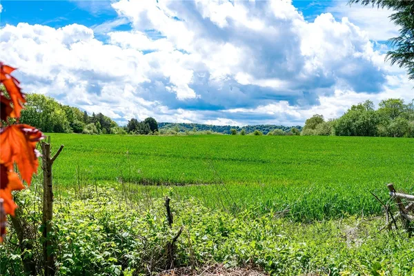 Prestbury Road, Wilmslow, SK9 photo 32