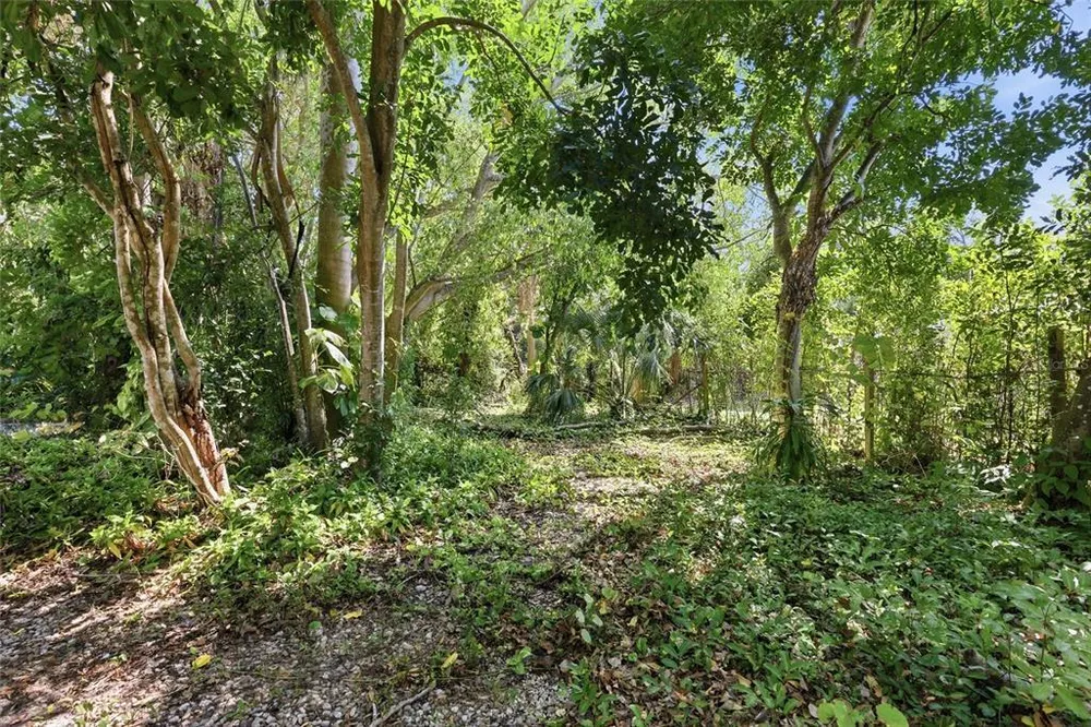 1264 18th St, Sarasota, FL 34234
