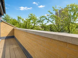 Courland Grove, London thumb 3