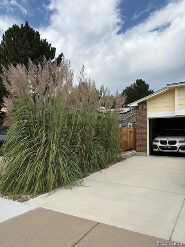 5069 W 62nd Ave, Arvada, CO 80003