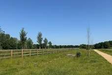 Hoadley Road, Horley