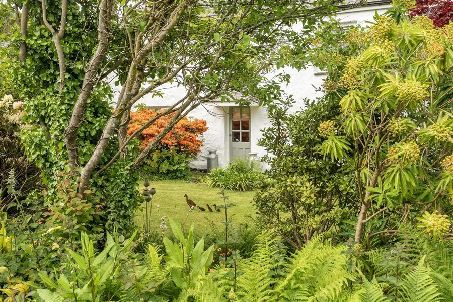 Property Image 36