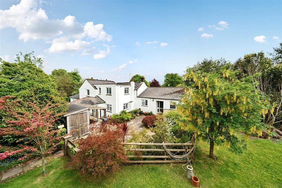 Property Image 38