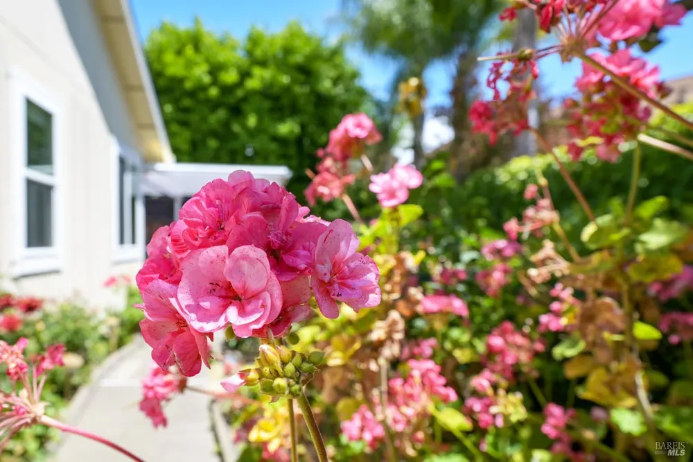 9151 Piccadilly Circle, Windsor, CA 95492