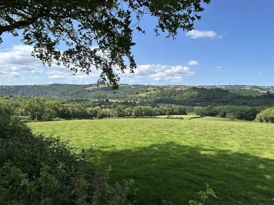 Property Image 43