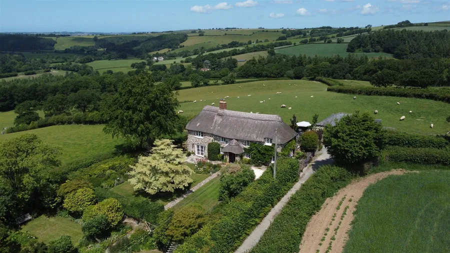 Property Image 44