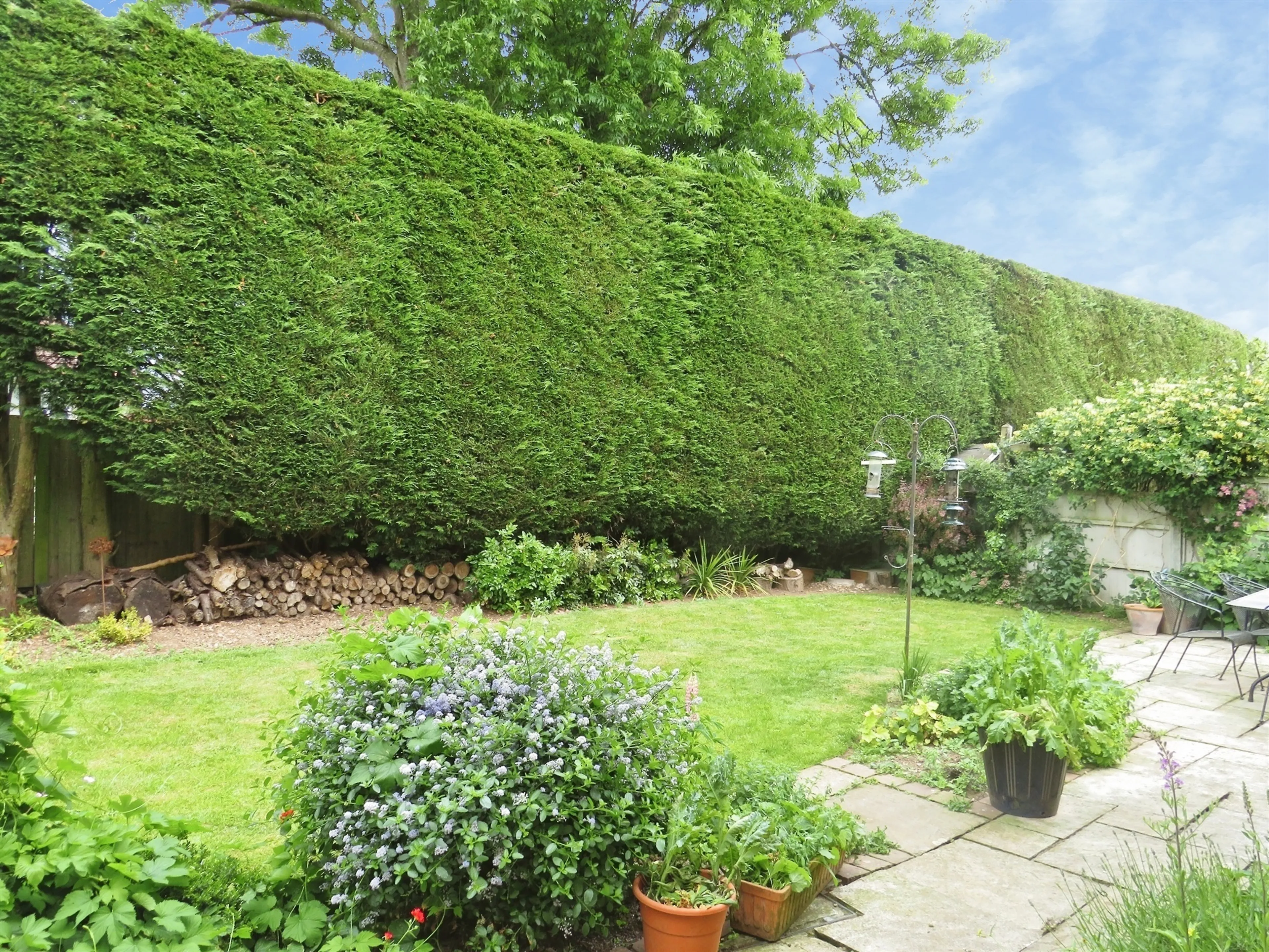 Property photo 18