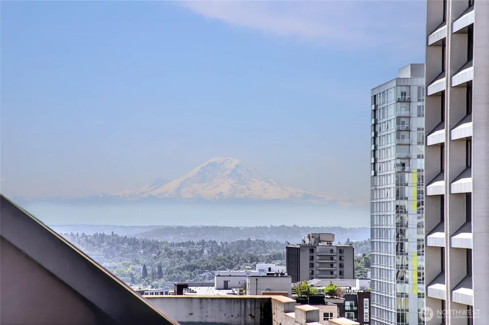 1105 Spring St, Seattle, WA 98104