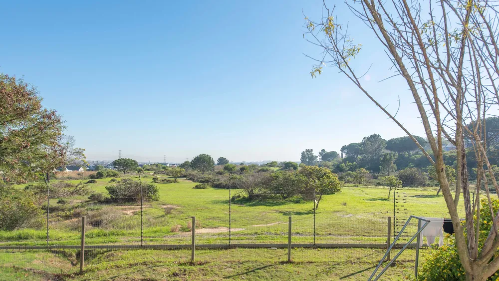 South Africa, Western Cape, Aan de Wijnlanden