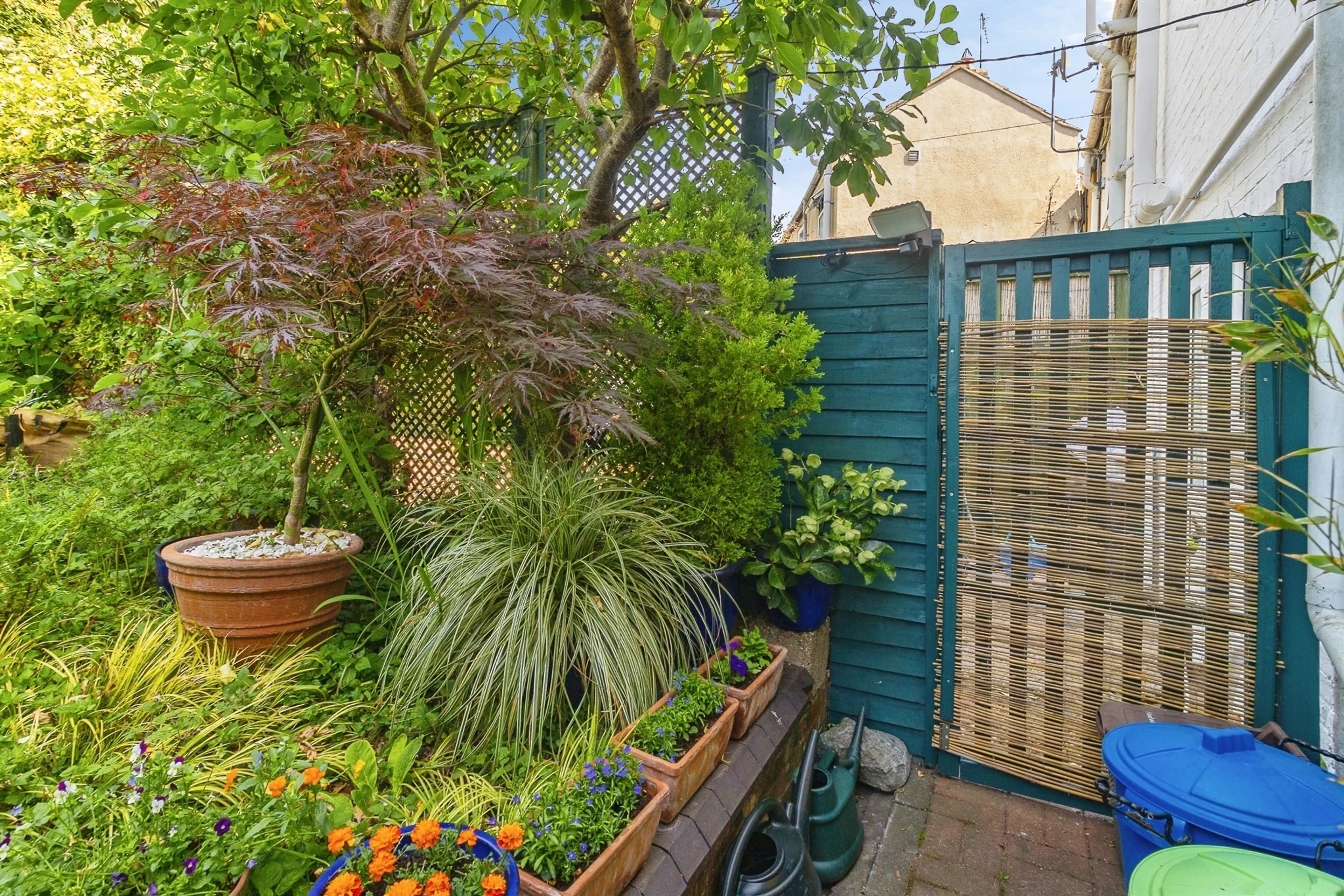 Property photo 19
