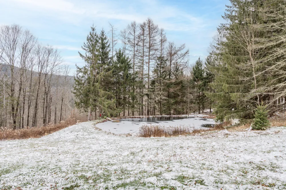 3913 County Hwy-23C, Jewett, NY 12444