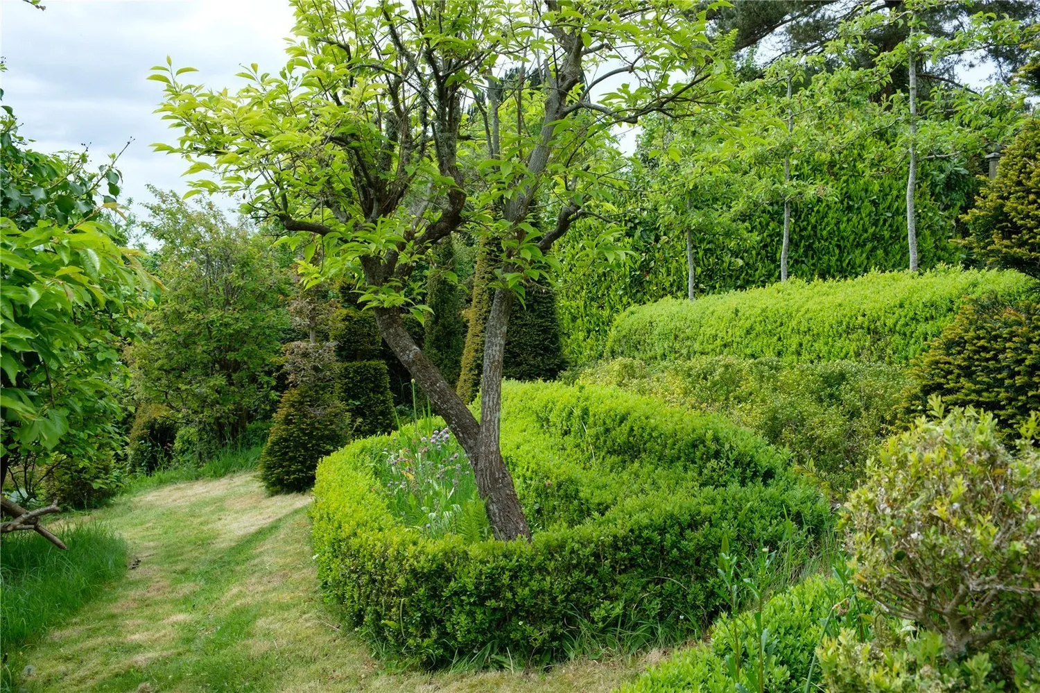 West Milton, Bridport, DT6 photo 60