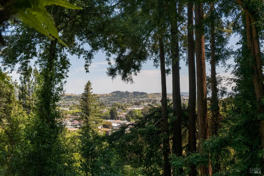 70 Hazel Ave, Larkspur, CA 94939-1906
