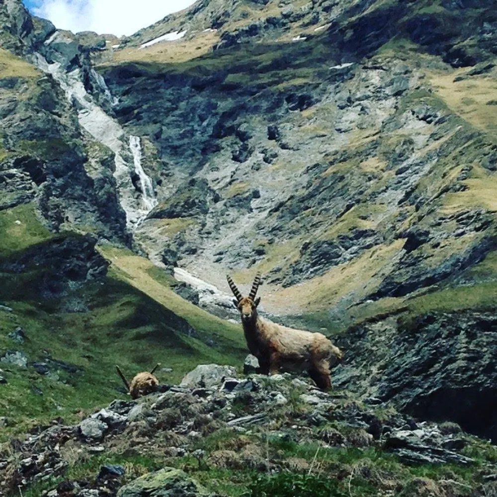 Champagny-en-Vanoise, Savoie, France
