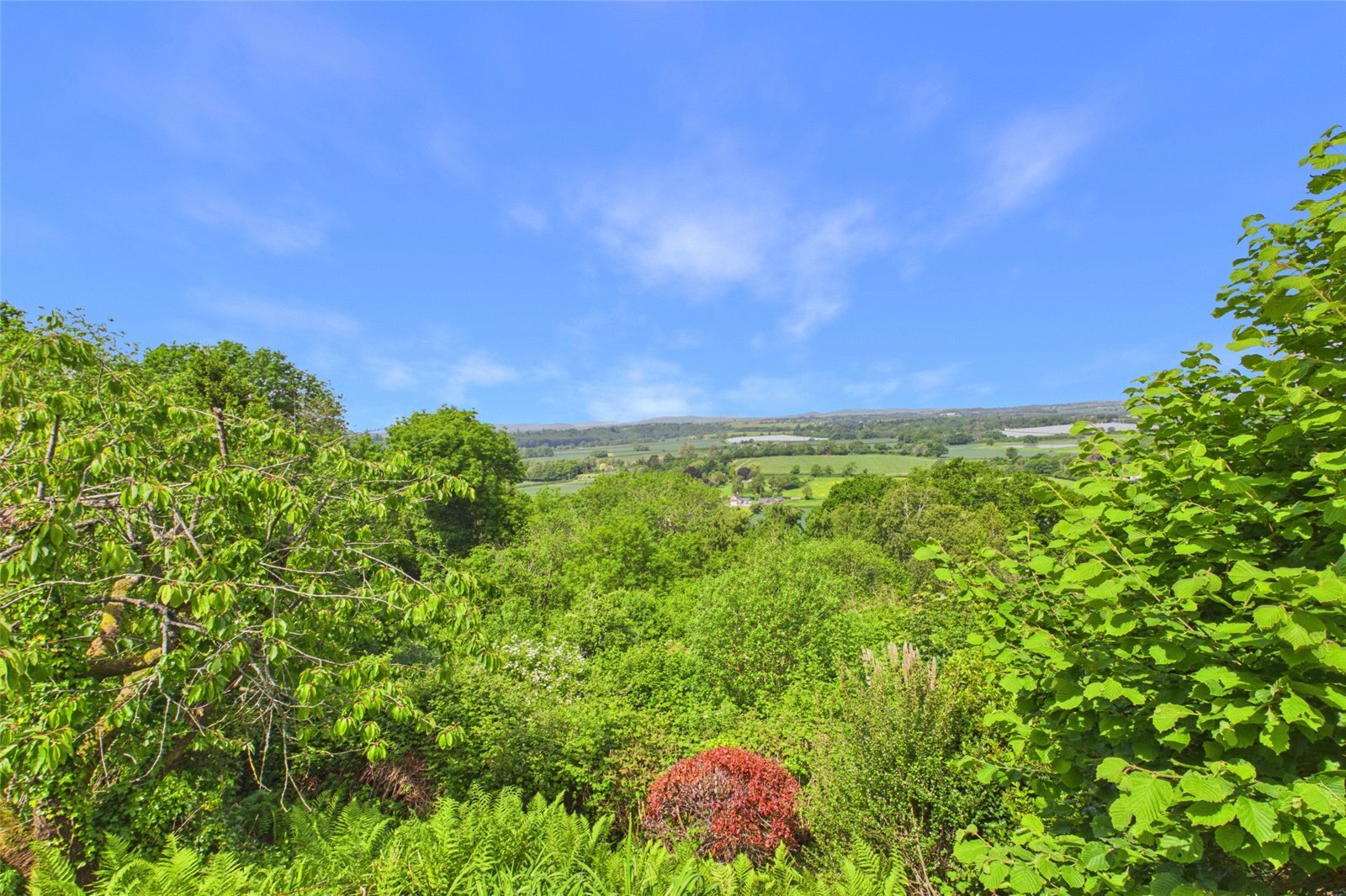 Bulls Hill, Walford, Ross-on-Wye, Herefordshire, HR9 Image 25