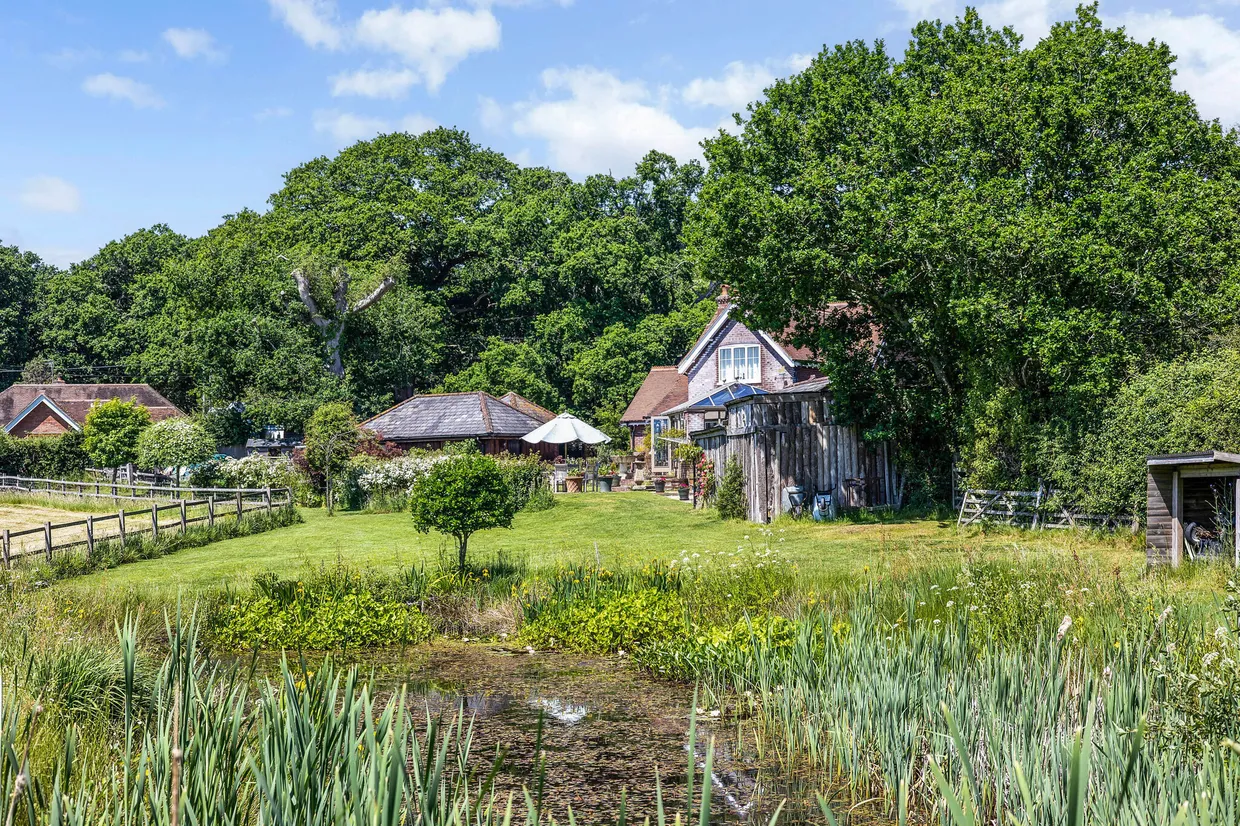 Brook, Lyndhurst, SO43 photo 15