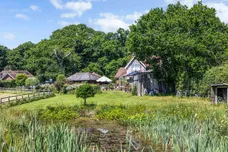 Brook, Lyndhurst, SO43 photo 15