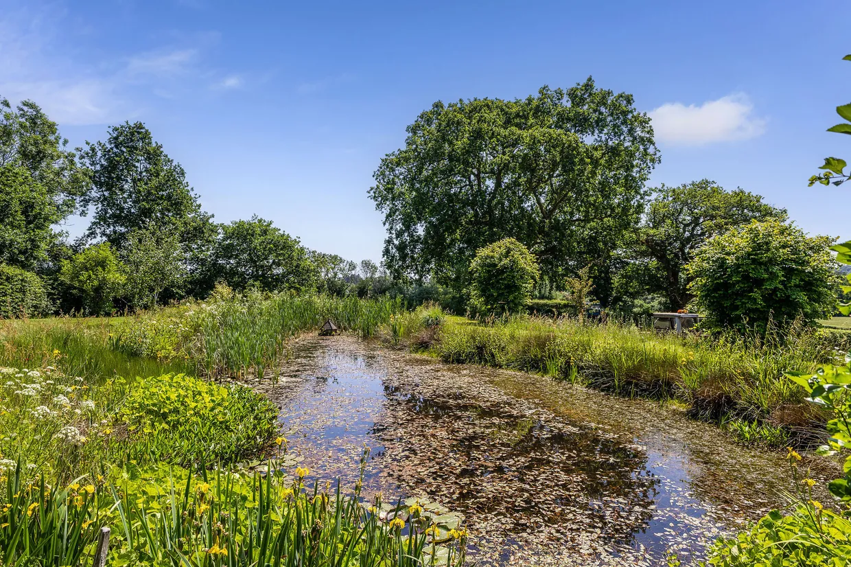 Brook, Lyndhurst, SO43 photo 17