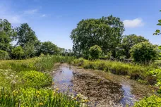 Brook, Lyndhurst, SO43 photo 17