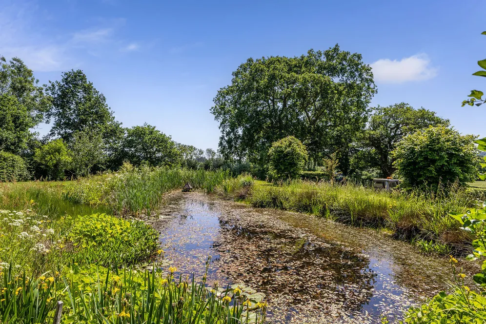 Brook, Lyndhurst, SO43 photo 17