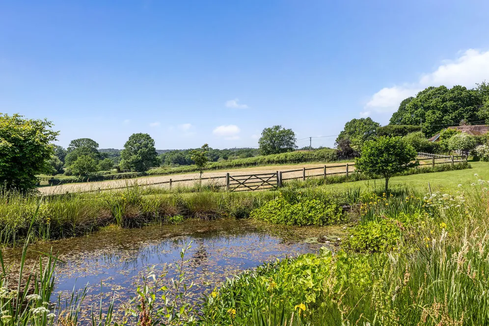 Brook, Lyndhurst, SO43 photo 18
