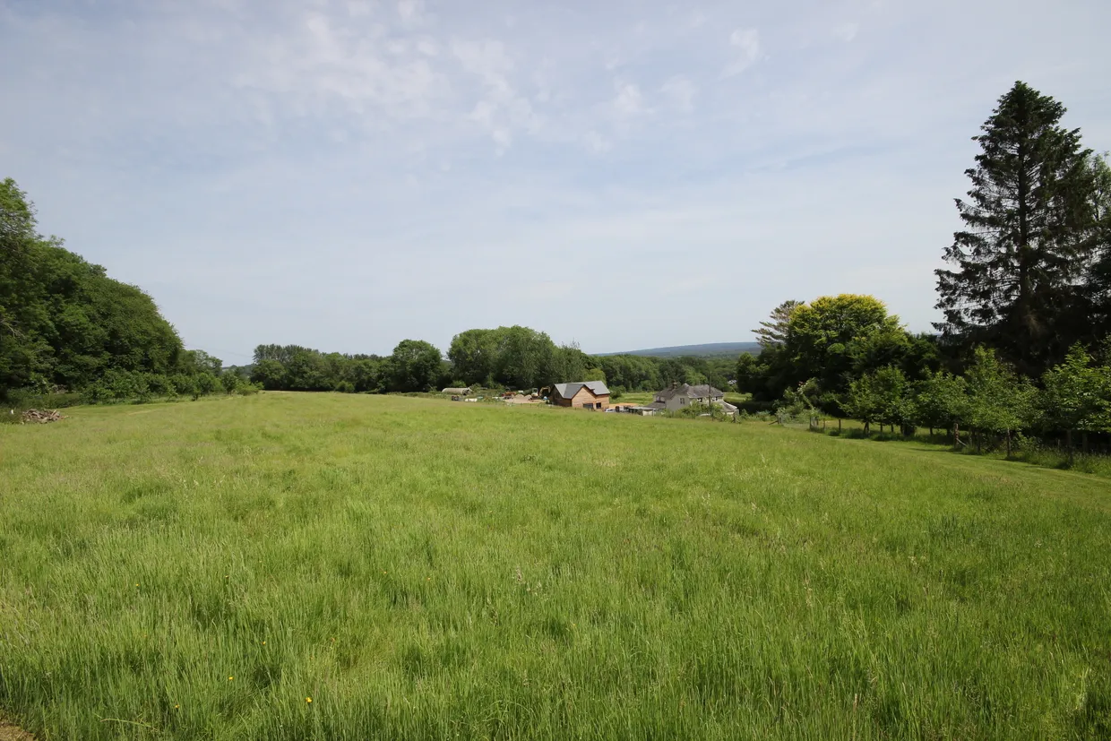 Worldham Hill, East Worldham, GU34 photo 6