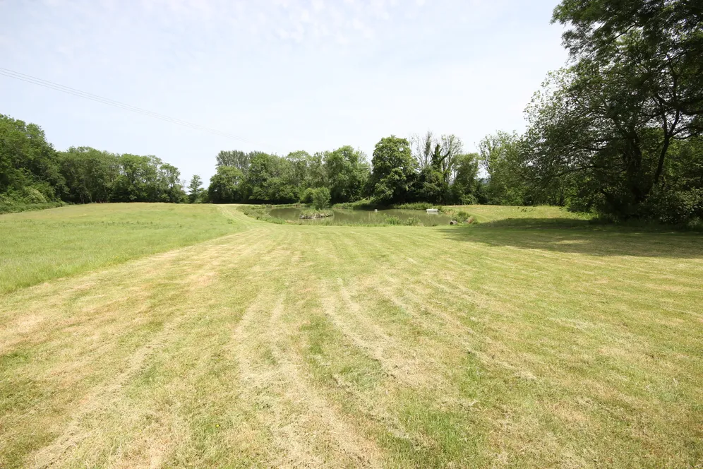 Worldham Hill, East Worldham, GU34 photo 11