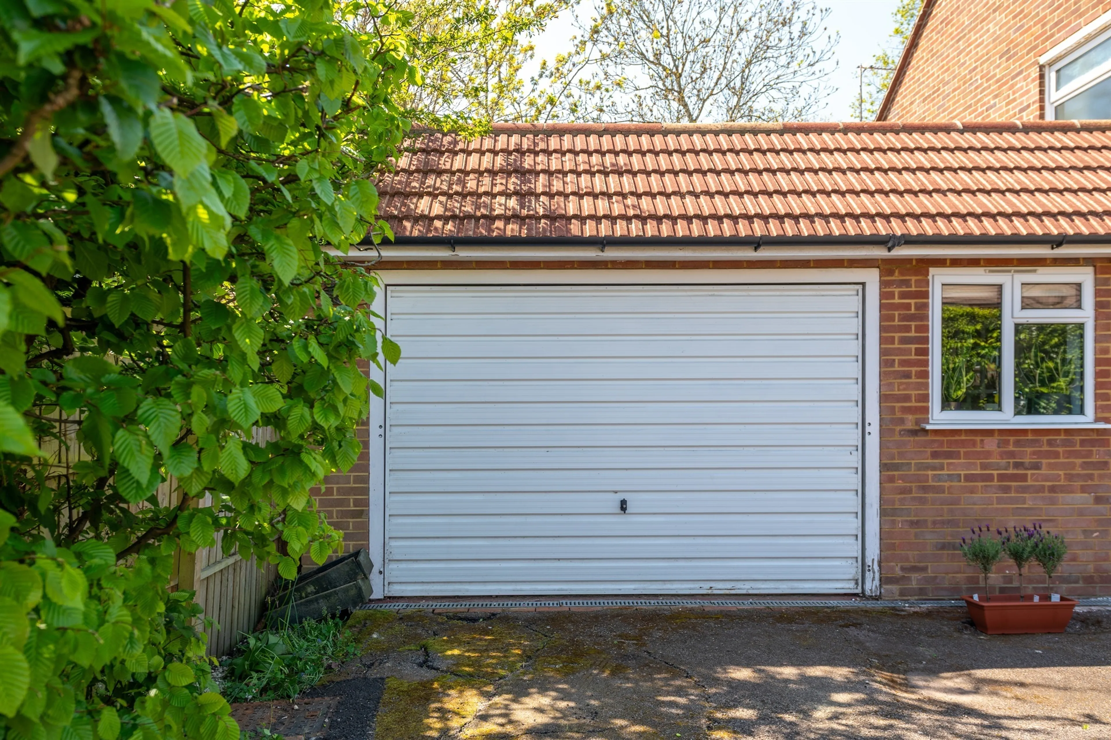Property photo 21
