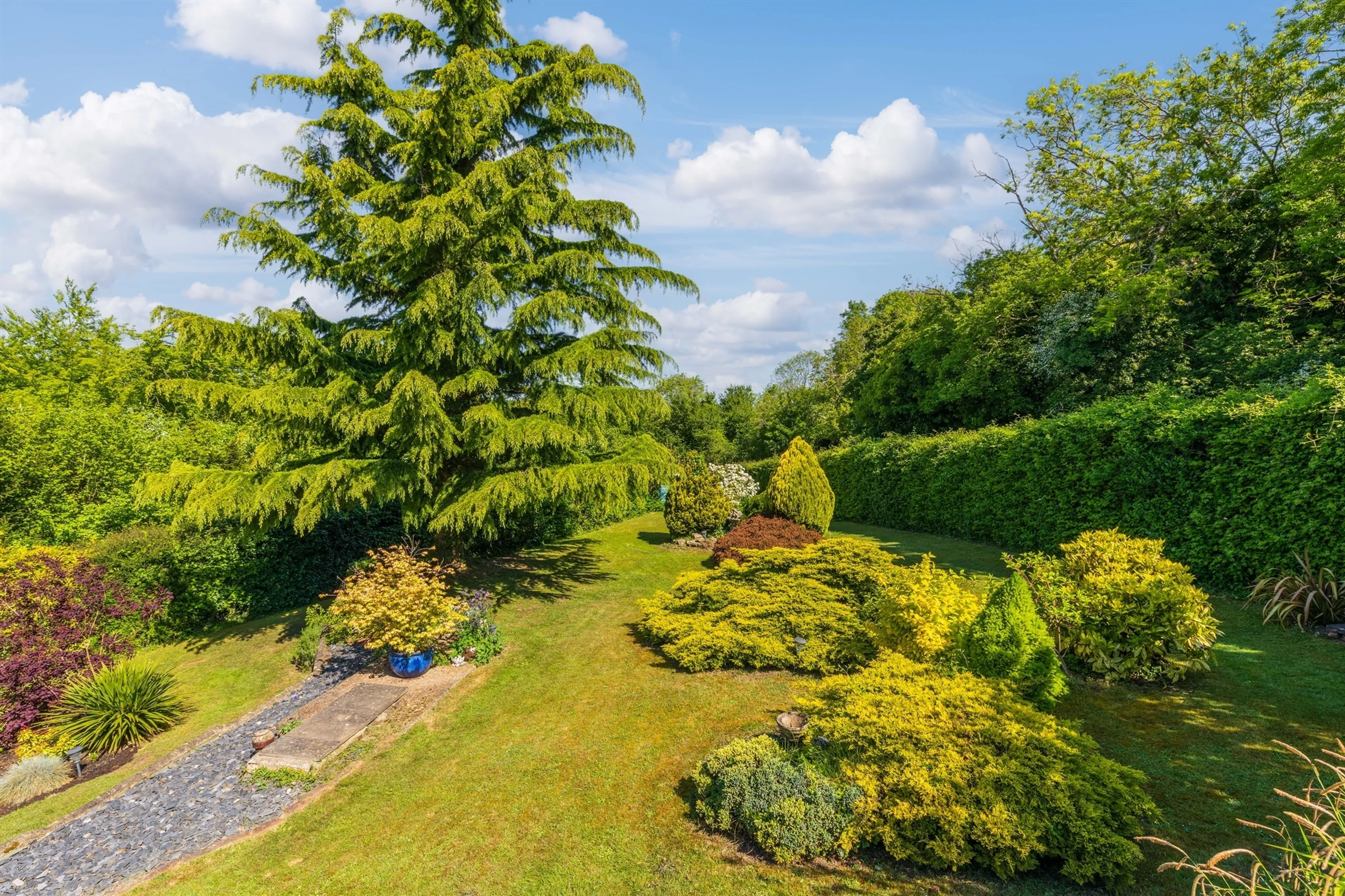 Property photo 19