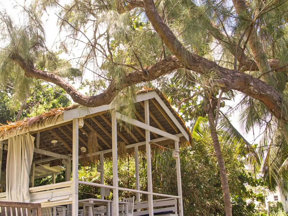 Eco Lifestyle & Lodge